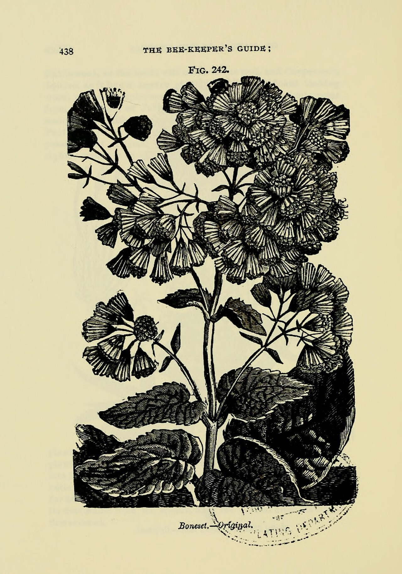 OpenClaw Skills Guide Shows How to Build Production-Ready AI Agents Without Breaking the Bank — The bee-keeper's guide (Page 438) BHL18189113